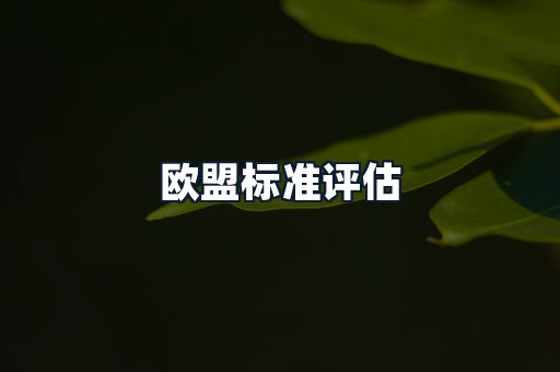 欧盟标准评估